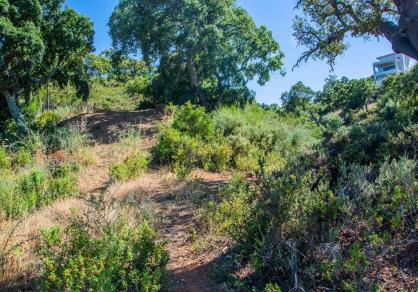 Terrain - Résidentiel, La Mairena Costa del Sol Málaga R3292945 13