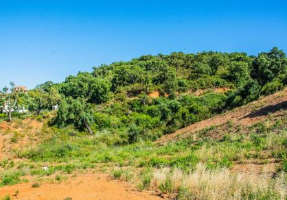 Terrain - Résidentiel, La Mairena Costa del Sol Málaga R3292945 14