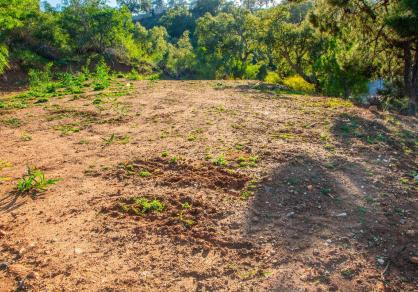 Plot - Residential, La Mairena Costa del Sol Málaga R4620436 17