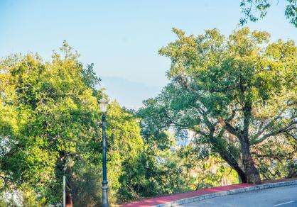 Terrain - Résidentiel, La Mairena Costa del Sol Málaga R4620436 12