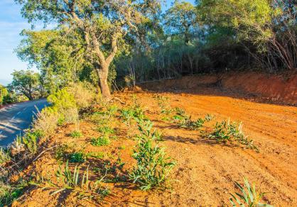 Terrain - Résidentiel, La Mairena Costa del Sol Málaga R4620436 16