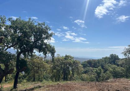 Plot - Residential, La Mairena Costa del Sol Málaga R5462953 6
