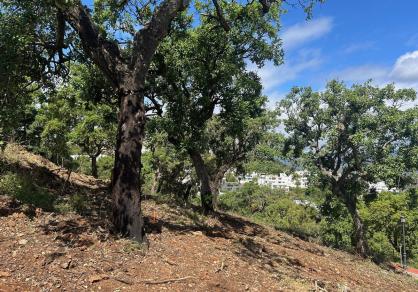 Plot - Residential, La Mairena Costa del Sol Málaga R5462953 9