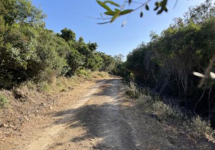 Villa - Finca, Castellar de la Frontera Costa de la Luz Cádiz R4020931 51