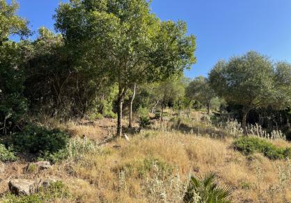 Villa - Finca, Castellar de la Frontera Costa de la Luz Cádiz R4020931 52