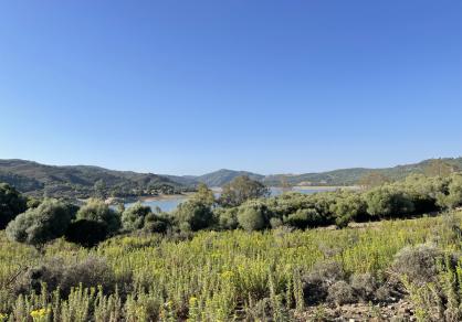 Villa - Finca, Castellar de la Frontera Costa de la Luz Cádiz R4020931 65