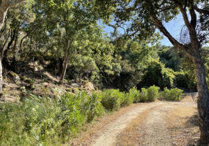 Вилла - Финка, Castellar de la Frontera Costa de la Luz Cádiz R4020931 49