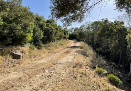 Вилла - Финка, Castellar de la Frontera Costa de la Luz Cádiz R4020931 50