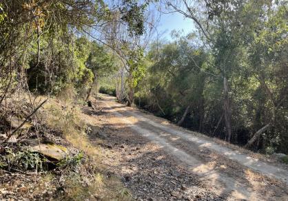 Вилла - Финка, Castellar de la Frontera Costa de la Luz Cádiz R4020931 53