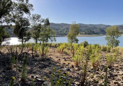 Вилла - Финка, Castellar de la Frontera Costa de la Luz Cádiz R4020931 55
