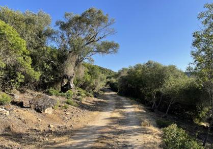 Вилла - Финка, Castellar de la Frontera Costa de la Luz Cádiz R4020931 58