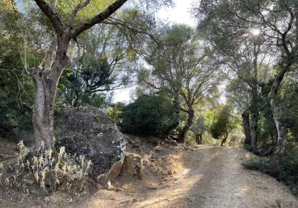Вилла - Финка, Castellar de la Frontera Costa de la Luz Cádiz R4020931 60