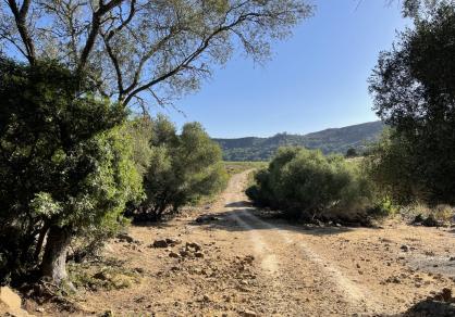 Вилла - Финка, Castellar de la Frontera Costa de la Luz Cádiz R4020931 62