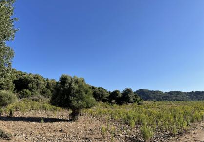 Вилла - Финка, Castellar de la Frontera Costa de la Luz Cádiz R4020931 63