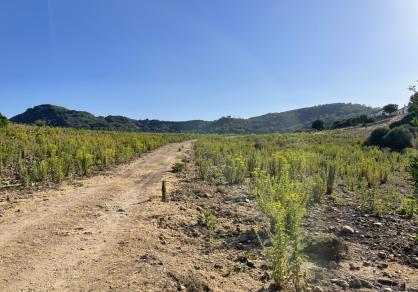 Вилла - Финка, Castellar de la Frontera Costa de la Luz Cádiz R4020931 64