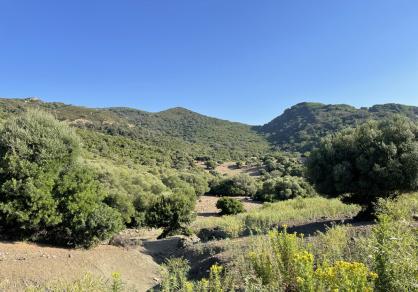 Вилла - Финка, Castellar de la Frontera Costa de la Luz Cádiz R4020931 67
