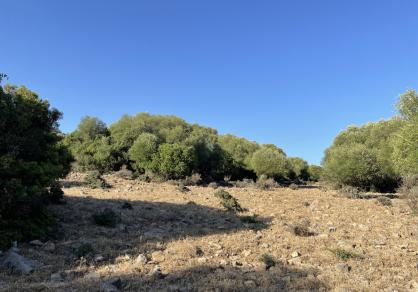 Вилла - Финка, Castellar de la Frontera Costa de la Luz Cádiz R4020931 69