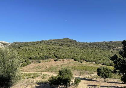 Вилла - Финка, Castellar de la Frontera Costa de la Luz Cádiz R4020931 74