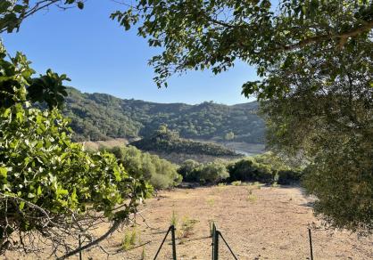 Вилла - Финка, Castellar de la Frontera Costa de la Luz Cádiz R4020931 76
