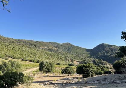 Вилла - Финка, Castellar de la Frontera Costa de la Luz Cádiz R4020931 81
