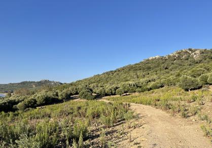 Вилла - Финка, Castellar de la Frontera Costa de la Luz Cádiz R4020931 87