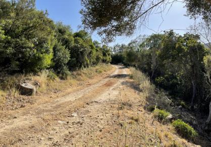 Villa - Finca, Castellar de la Frontera Costa de la Luz Cádiz R4020931 49