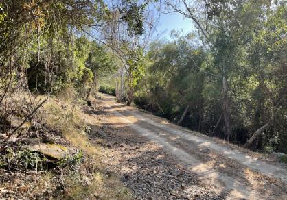 Villa - Finca, Castellar de la Frontera Costa de la Luz Cádiz R4020931 52