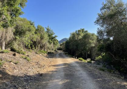 Villa - Finca, Castellar de la Frontera Costa de la Luz Cádiz R4020931 56