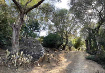 Villa - Finca, Castellar de la Frontera Costa de la Luz Cádiz R4020931 59