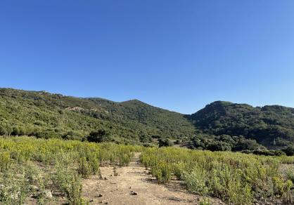 Villa - Finca, Castellar de la Frontera Costa de la Luz Cádiz R4020931 65