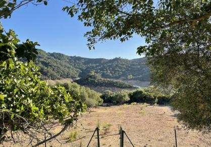 Villa - Finca, Castellar de la Frontera Costa de la Luz Cádiz R4020931 75