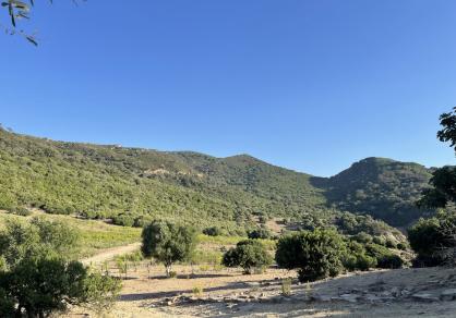 Villa - Finca, Castellar de la Frontera Costa de la Luz Cádiz R4020931 80